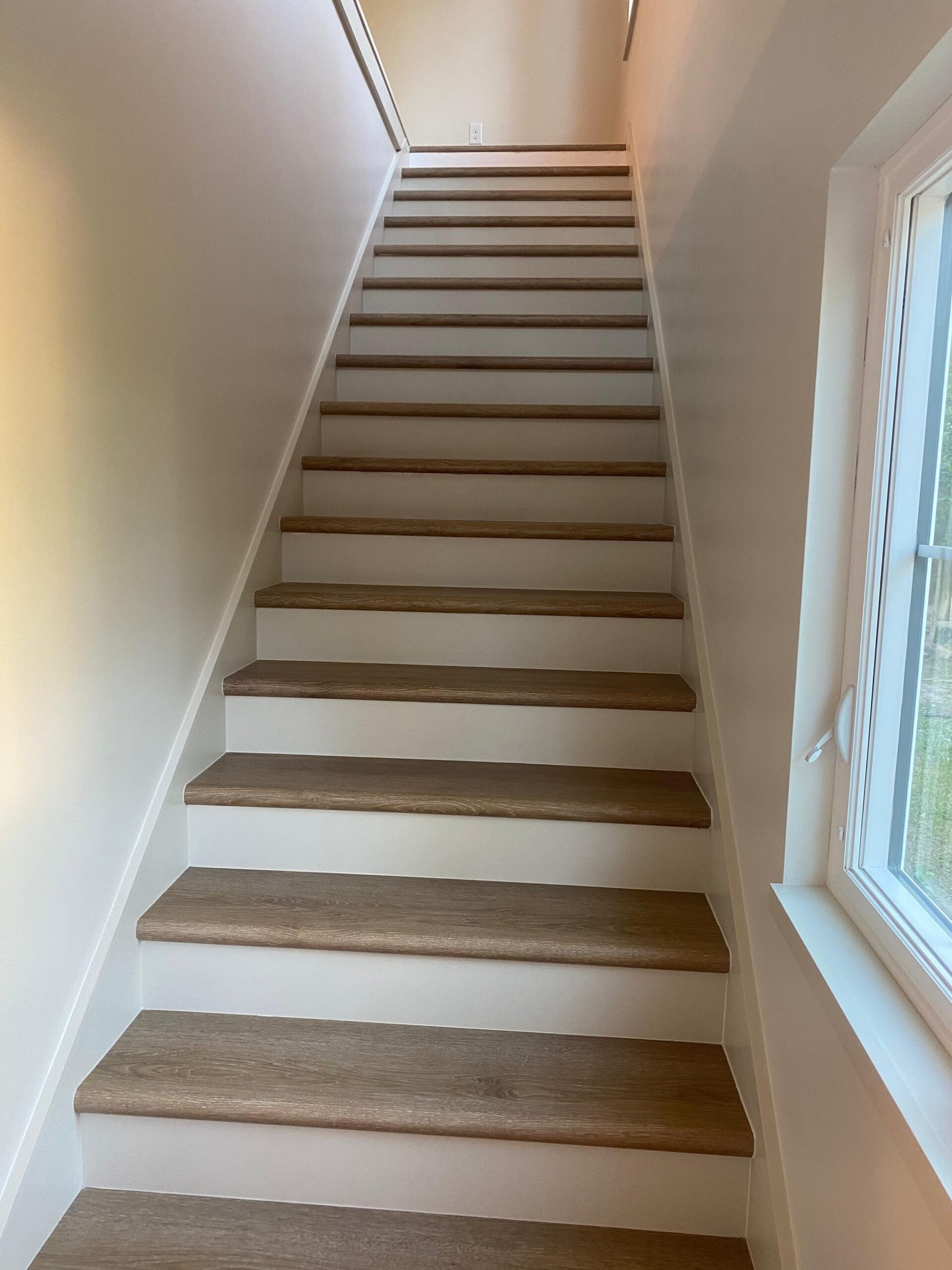 WhatsApp Image 2026-02-19 at 7.24.06 PM WhatsApp Image 2026-02-19 at 7.24.06 PM